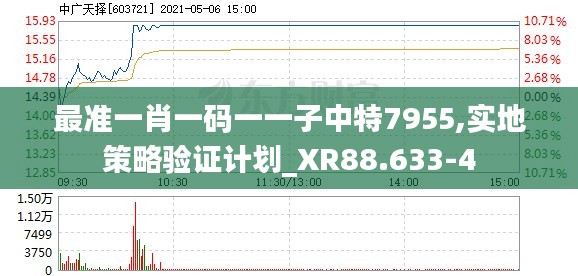 最准一肖一码一一子中特7955,实地策略验证计划_XR88.633-4