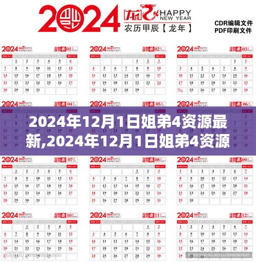 2024年姐弟资源最新指南，初学者与进阶用户详细操作手册