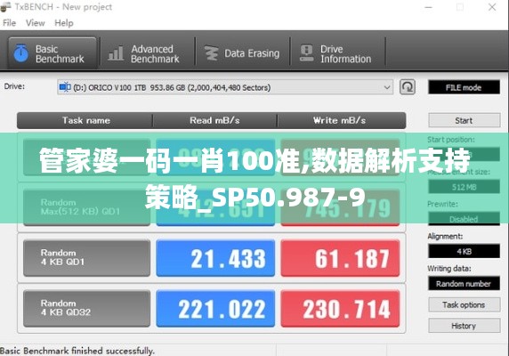 管家婆一码一肖100准,数据解析支持策略_SP50.987-9