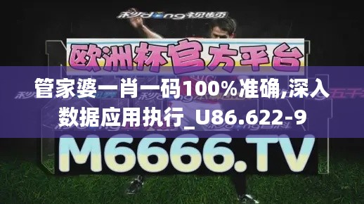 管家婆一肖一码100%准确,深入数据应用执行_U86.622-9