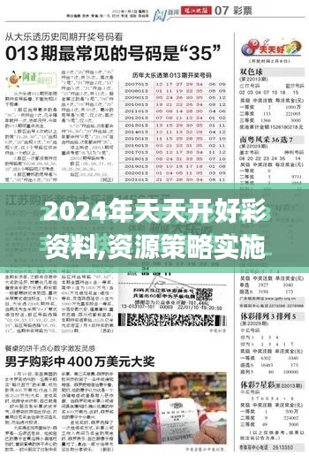 2024年天天开好彩资料,资源策略实施_Executive95.954-7