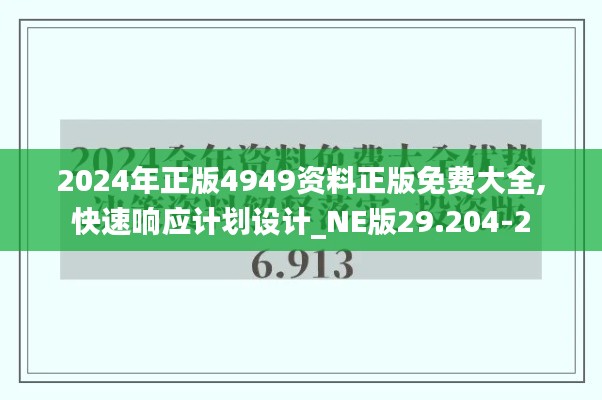 2024年正版4949资料正版免费大全,快速响应计划设计_NE版29.204-2