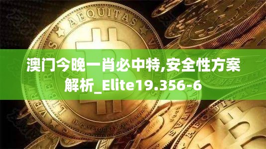 澳门今晚一肖必中特,安全性方案解析_Elite19.356-6