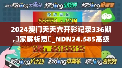 2024澳门天天六开彩记录336期,專家解析意見_NDN24.585高级版