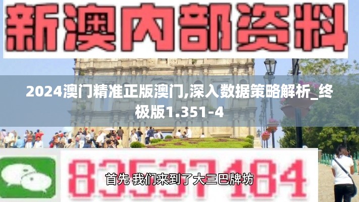 2024澳门精准正版澳门,深入数据策略解析_终极版1.351-4