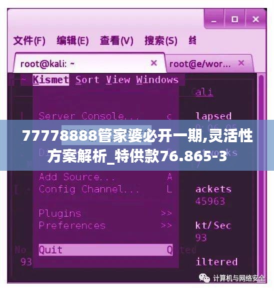 77778888管家婆必开一期,灵活性方案解析_特供款76.865-3