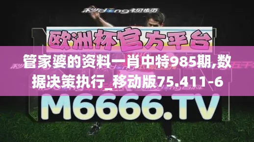 管家婆的资料一肖中特985期,数据决策执行_移动版75.411-6