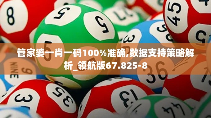 管家婆一肖一码100%准确,数据支持策略解析_领航版67.825-8