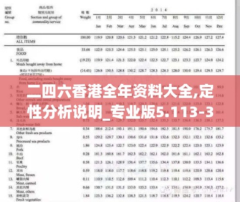 二四六香港全年资料大全,定性分析说明_专业版5.113-3