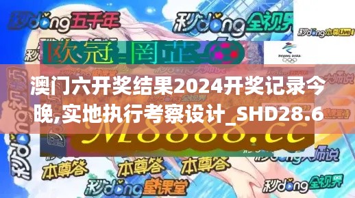 澳门六开奖结果2024开奖记录今晚,实地执行考察设计_SHD28.646-5