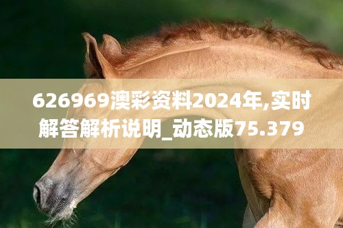 626969澳彩资料2024年,实时解答解析说明_动态版75.379-4