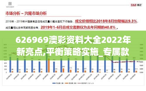 626969澳彩资料大全2022年新亮点,平衡策略实施_专属款19.330-9