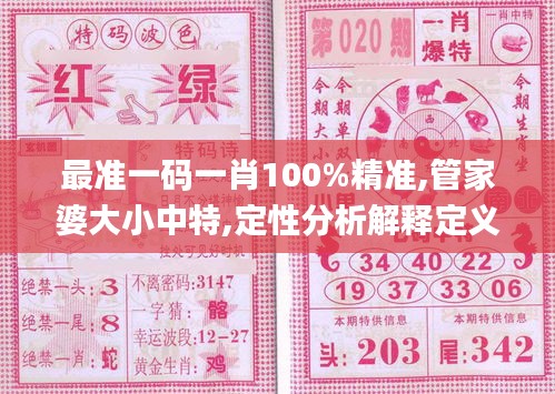 最准一码一肖100%精准,管家婆大小中特,定性分析解释定义_黄金版181.902-9