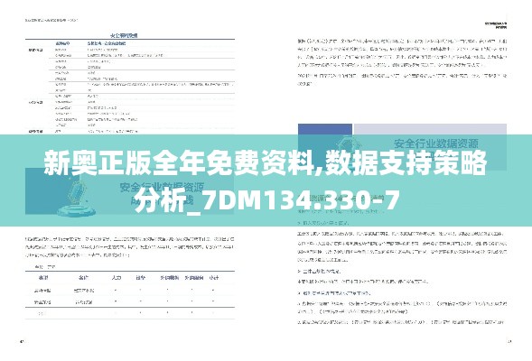 新奥正版全年免费资料,数据支持策略分析_7DM134.330-7