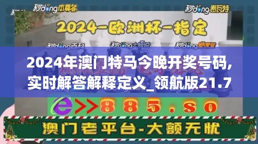 2024年澳门特马今晚开奖号码,实时解答解释定义_领航版21.738-3