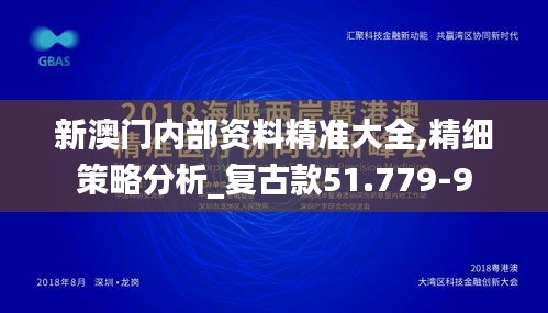 新澳门内部资料精准大全,精细策略分析_复古款51.779-9