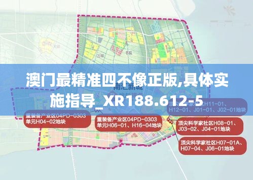 澳门最精准四不像正版,具体实施指导_XR188.612-5