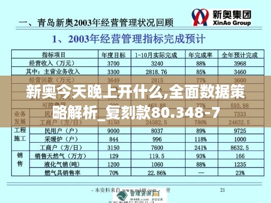 新奥今天晚上开什么,全面数据策略解析_复刻款80.348-7