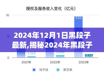 揭秘2024年网络黑段子新潮流，狂欢背后的反思与深思