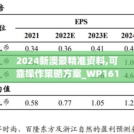 2024新澳最精准资料,可靠操作策略方案_WP161.289-5