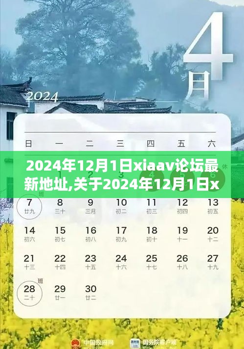 关于xiaav论坛最新地址的权威指南（2024年12月1日更新）