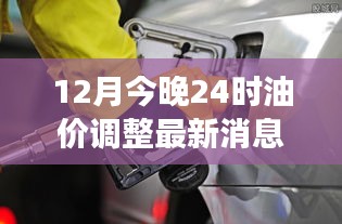 12月24时油价调整动态及变动分析，最新消息一览