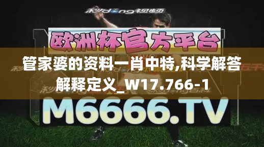 管家婆的资料一肖中特,科学解答解释定义_W17.766-1