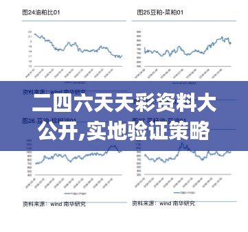 二四六天天彩资料大公开,实地验证策略方案_W77.788-2