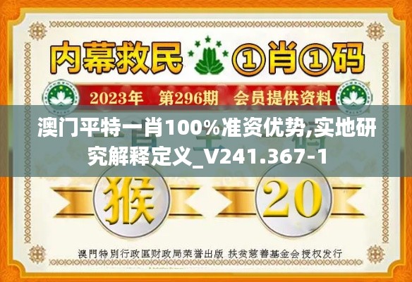 澳门平特一肖100%准资优势,实地研究解释定义_V241.367-1