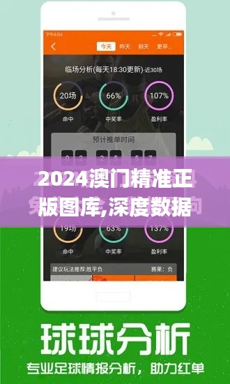 2024澳门精准正版图库,深度数据应用策略_BT151.916-9