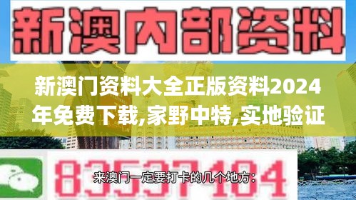 新澳门资料大全正版资料2024年免费下载,家野中特,实地验证策略_kit13.381-1