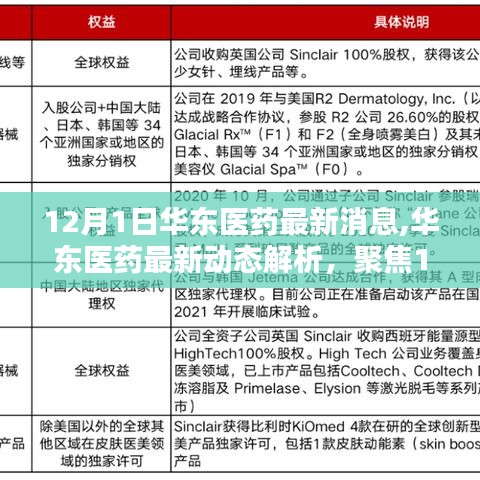 华东医药最新动态解析及影响探讨，聚焦12月1日的关键消息