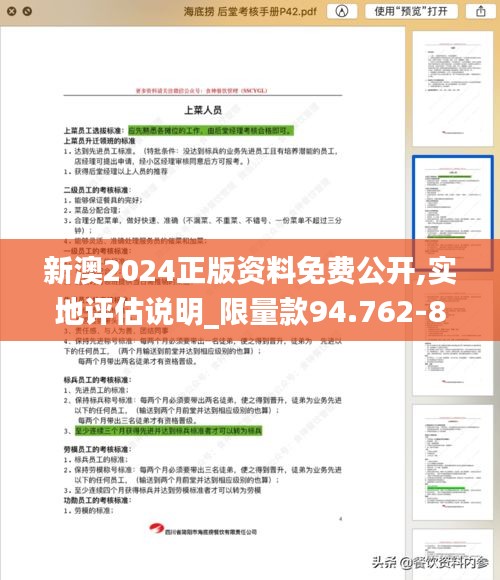 新澳2024正版资料免费公开,实地评估说明_限量款94.762-8