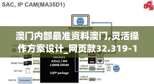 澳门内部最准资料澳门,灵活操作方案设计_网页款32.319-1