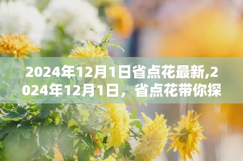 省点花带你探索自然美景，寻找内心的桃花源在2024年12月1日