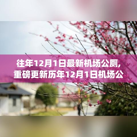 暴马丁香 第236页