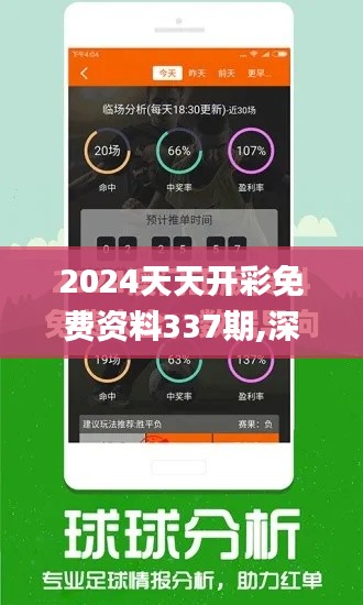 2024天天开彩免费资料337期,深入执行数据策略_VR40.360-6