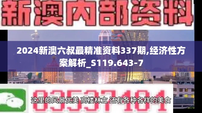 2024新澳六叔最精准资料337期,经济性方案解析_S119.643-7