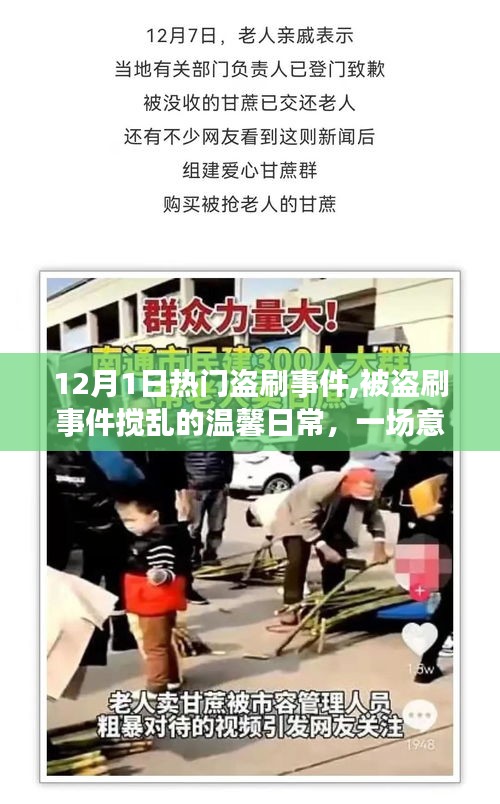 12月1日盗刷事件，温馨日常的意外冒险之旅