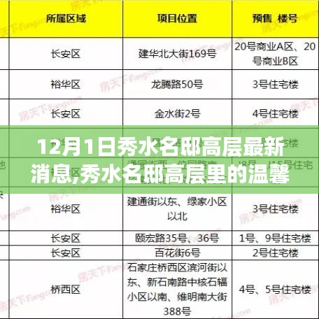 12月1日秀水名邸高层最新消息,秀水名邸高层里的温馨日常，12月1日的趣事与情感纽带