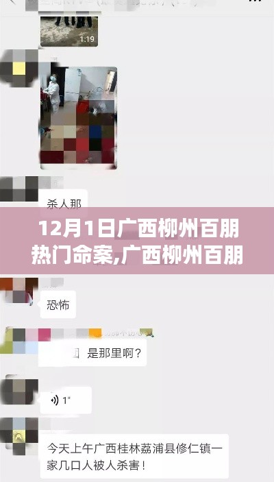 广西柳州百朋镇突发震惊社区命案，12月1日事件引发关注热议