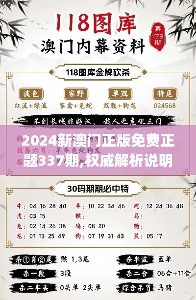 2024新澳门正版免费正题337期,权威解析说明_7DM30.523-5