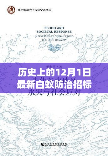 12月1日白蚁防治招标启幕，与自然美景的奇妙缘分，探索内心宁静之旅