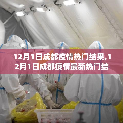 成都疫情最新热门结果解析，12月1日更新