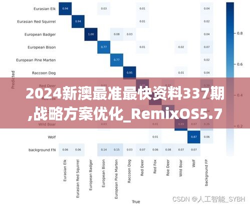 2024新澳最准最快资料337期,战略方案优化_RemixOS5.750-5