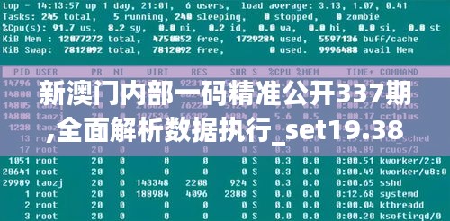 新澳门内部一码精准公开337期,全面解析数据执行_set19.384-3