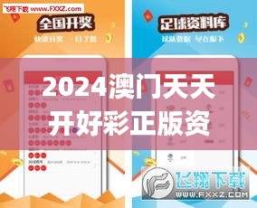 2024澳门天天开好彩正版资料大全337期,实效策略解析_W44.555-9