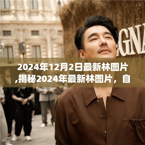 揭秘，最新林图片展现自然之美的独特风采（2024年12月2日）