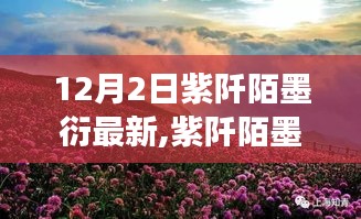 紫阡陌墨衍新篇，与自然美景的邂逅与内心宁静之旅