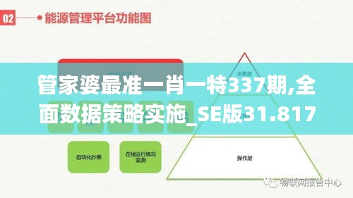 管家婆最准一肖一特337期,全面数据策略实施_SE版31.817-8